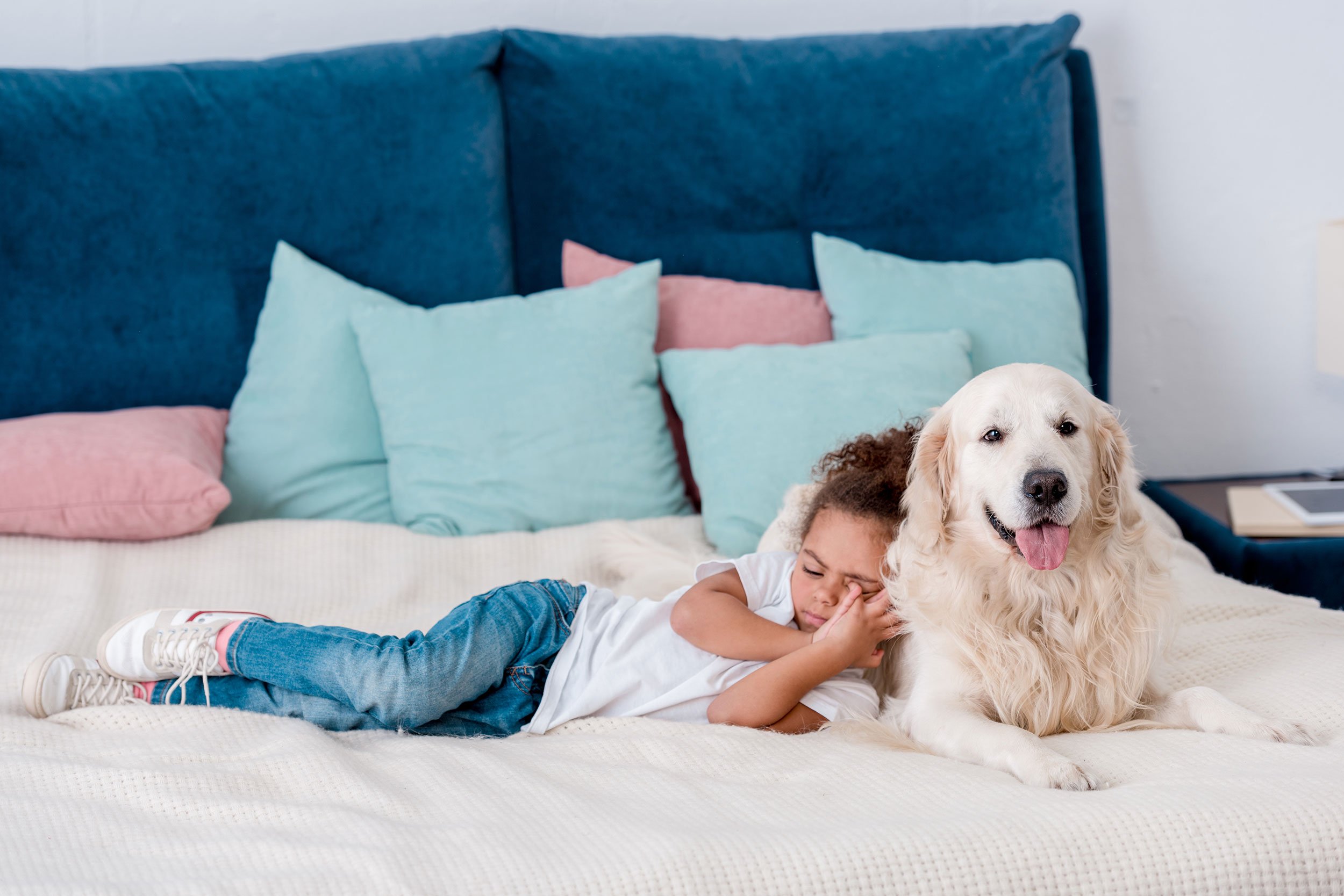 Child Snuggled on Golden Retriever on Bed